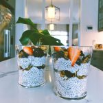 Classic Vanilla Chia Pudding
