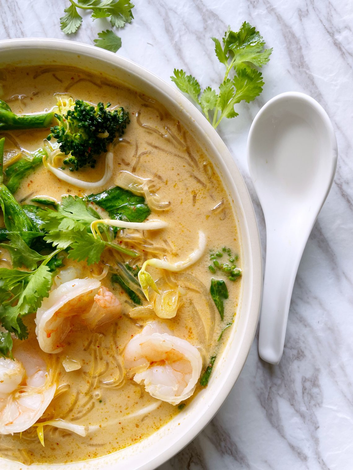 Whole30 Paleo Thai Red Curry Noodle Soup